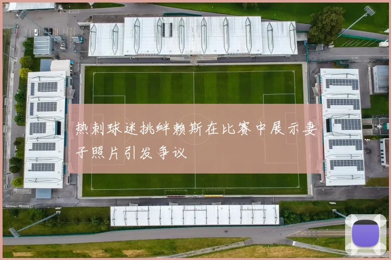 热刺球迷挑衅赖斯在比赛中展示妻子照片引发争议