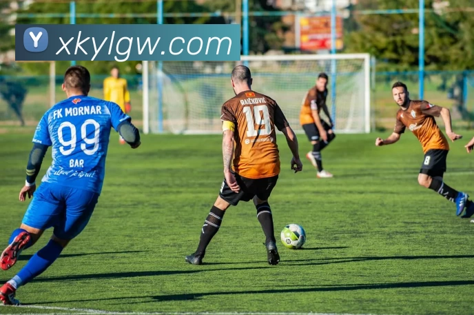 星空娱乐官网平台生态图